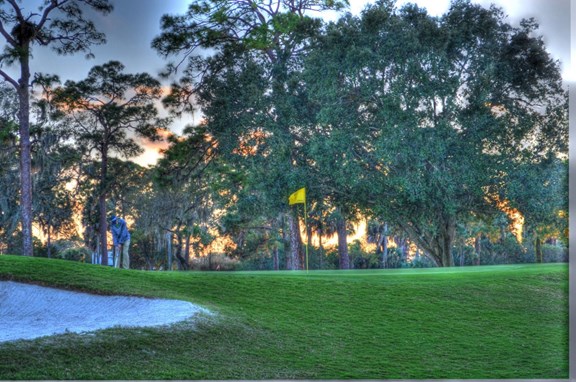 Dunedin Golf Club