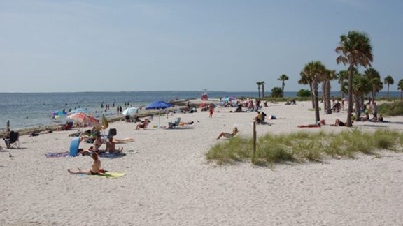 Fred Howard Park Beach