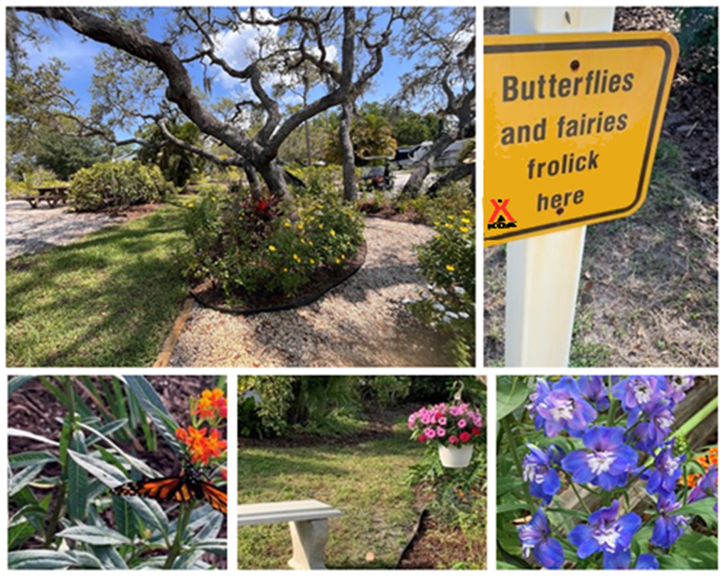 🦋 Butterfly Magic: A Garden Adventure