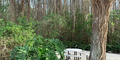 The Best RV Parks Near Clearwater Beach: Sun, Sand, and Full Hookups
