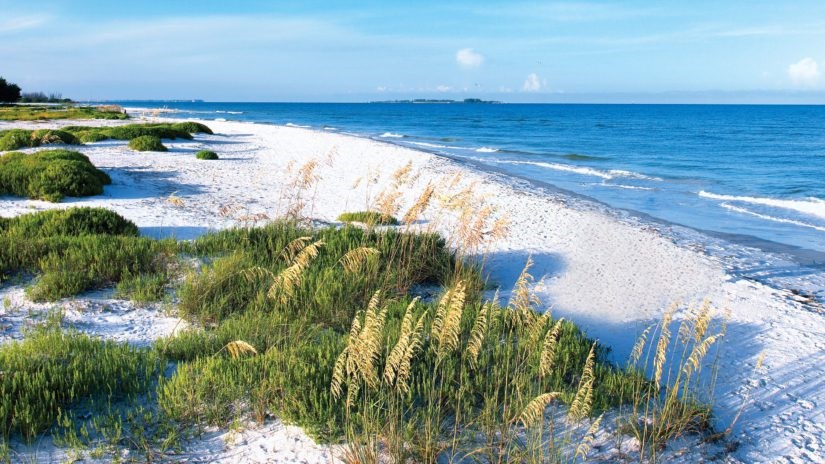 Camp, Cast, and Coastline