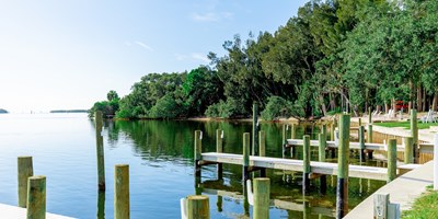 12 Things to Do in Tarpon Springs FL: A Camper's Guide to the Sponge Capital