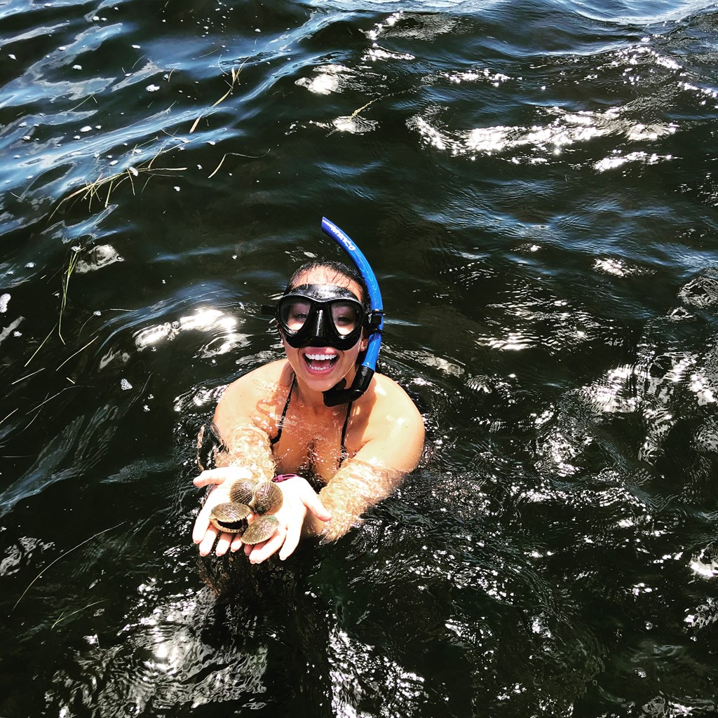 Scalloping Near Tarpon Springs: Your 2026 Pasco Zone Guide