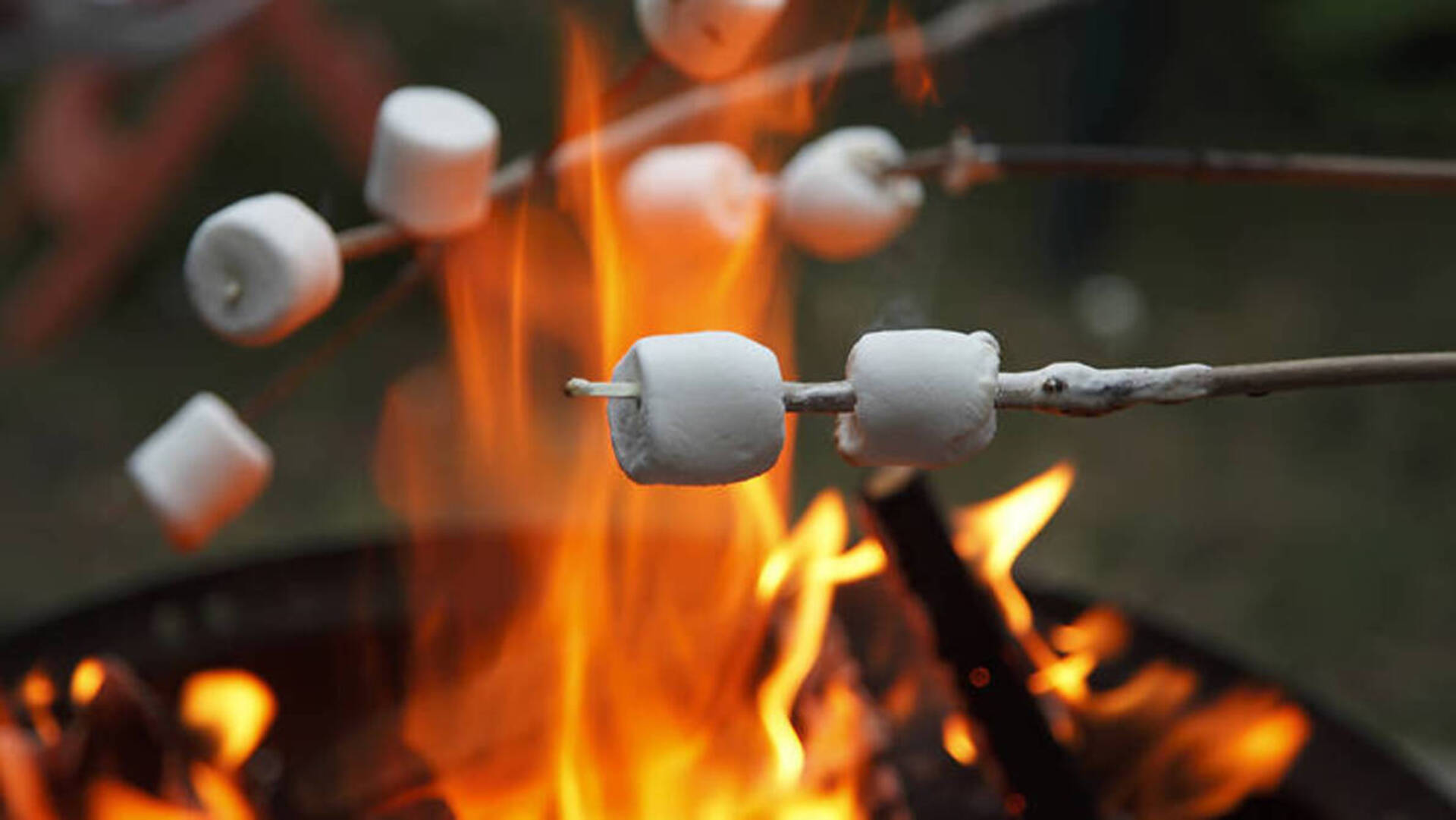 Saturday Night Bonfire with S'mores Photo