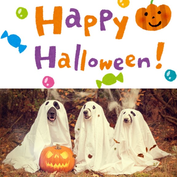 Happy Halloween!
