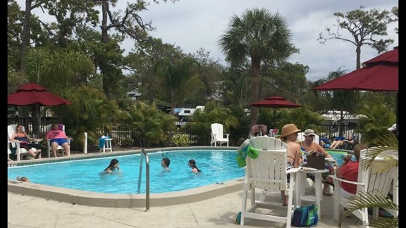 Welcome to the Clearwater / Lake Tarpon KOA