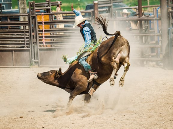 Cody Night Rodeo