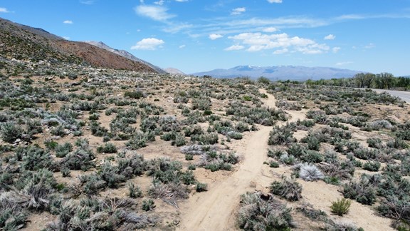 Hiking Trails