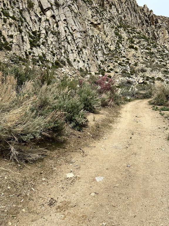 Hiking trails