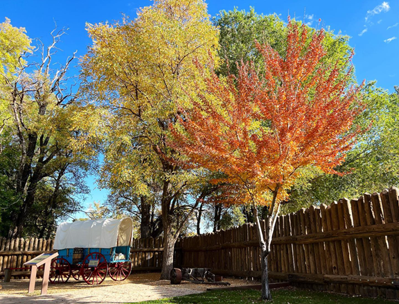Mormon Station State Historic Park