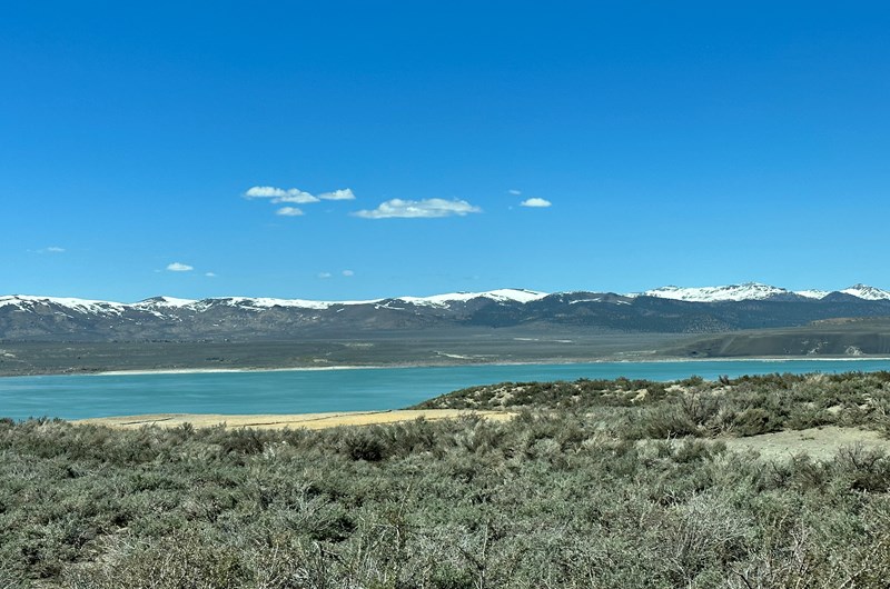 Mono Lake Inland Sea & Bird sanctuary Photo