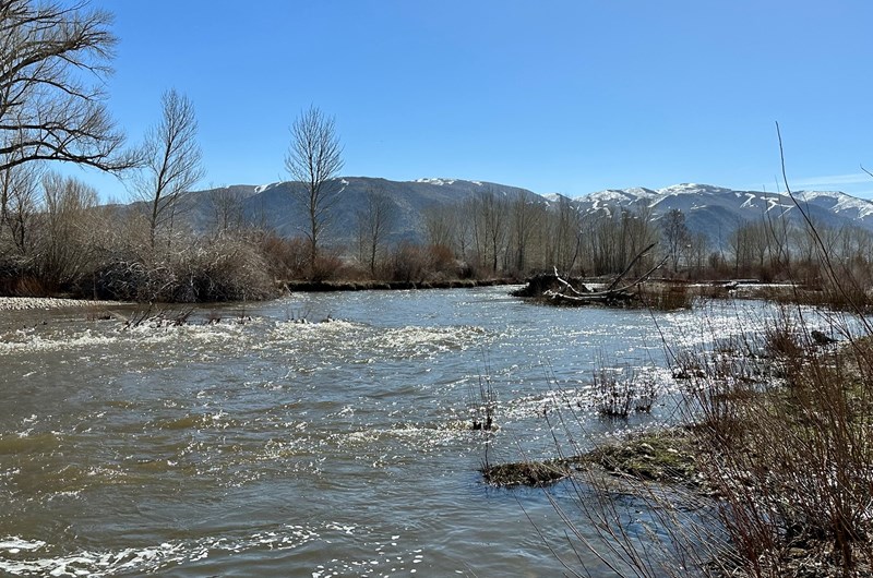 How Big is Big fishing derby Walker River Photo
