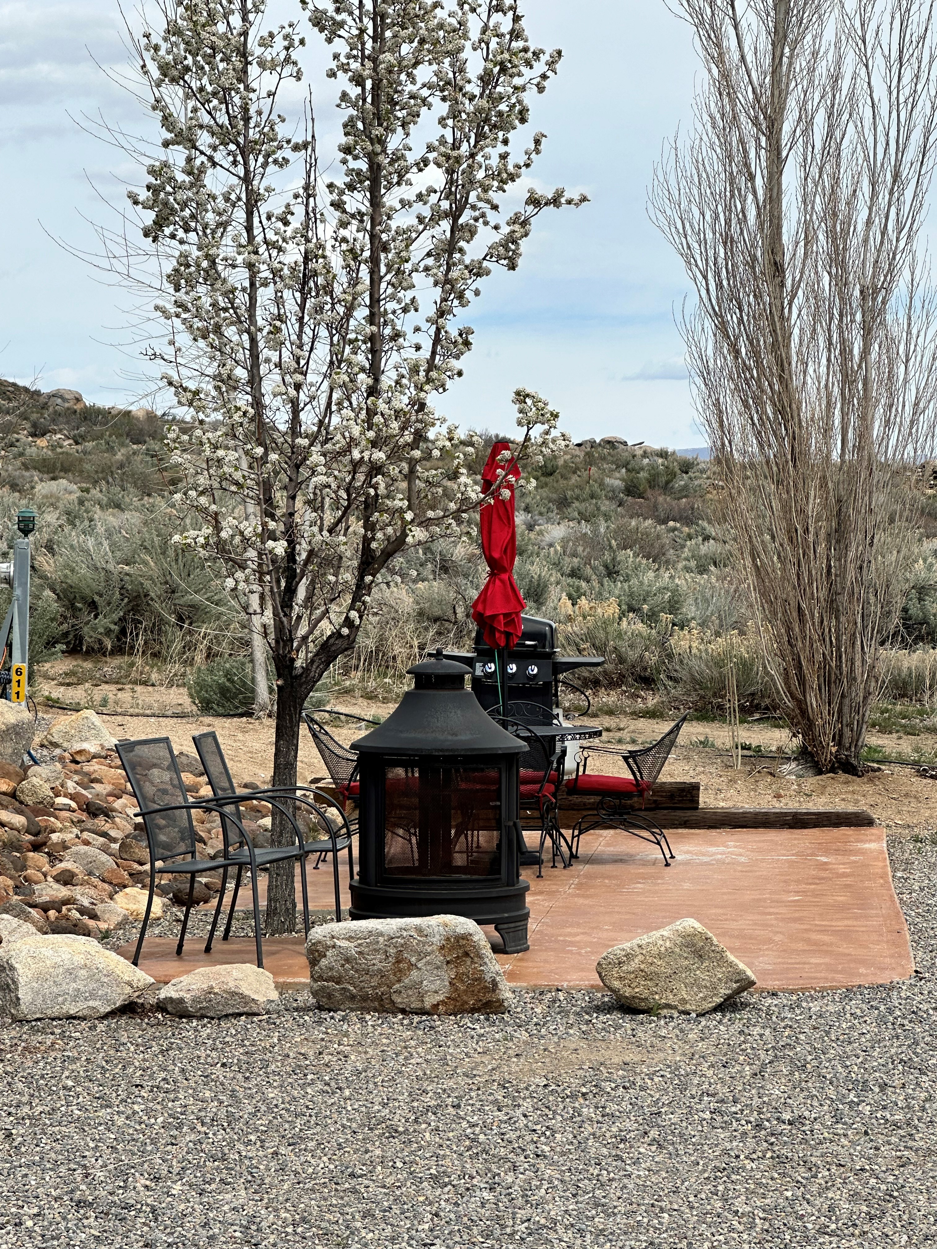 610 patio with flowering tree