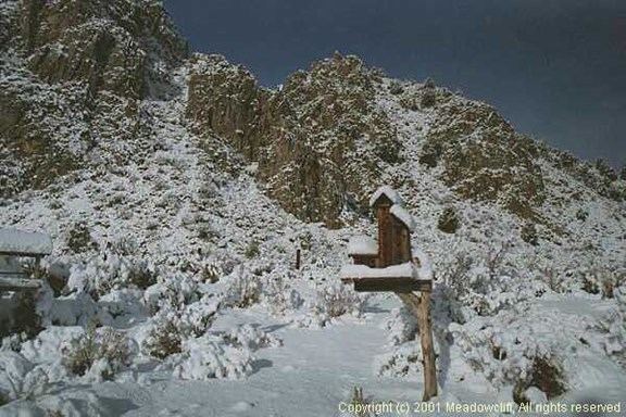 One of our birdhouses