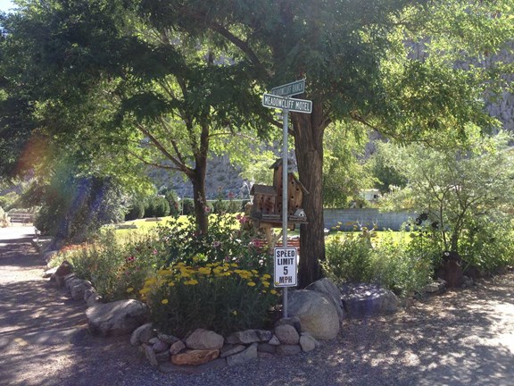One of many flower gardens