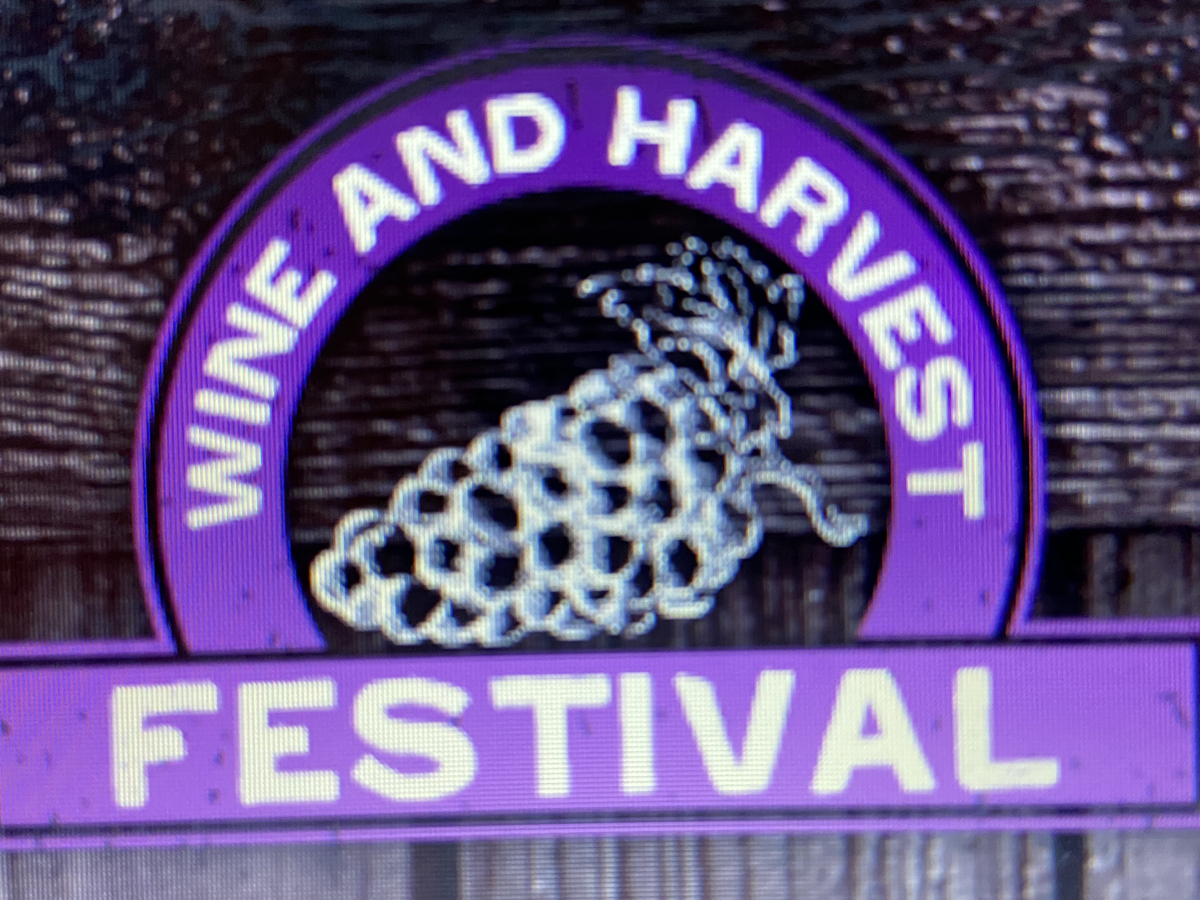 Wine and Harvest Festival Photo