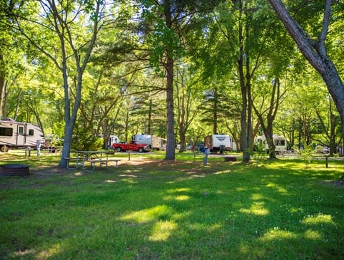Stay 4 Nights & Save 20% Water/Electric RV sites Photo