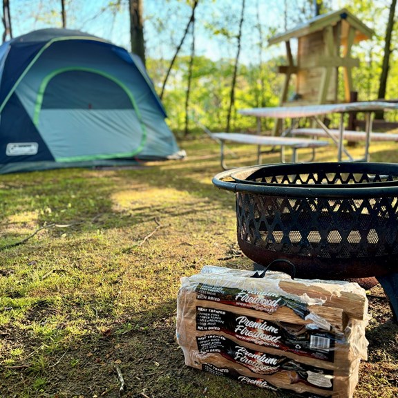Electric Tent Site
