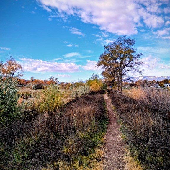 Hiking