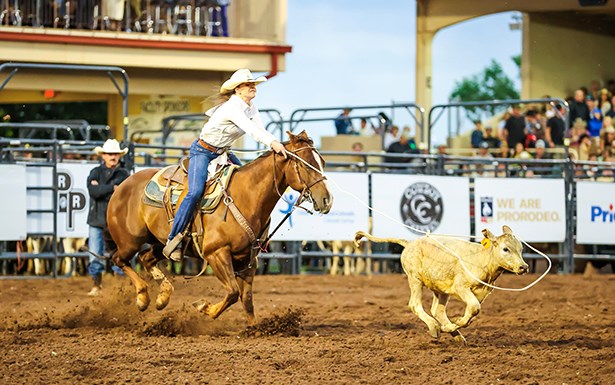 Saddle Up & Stay Awhile