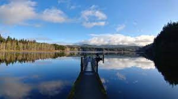 Lake Padden Park
