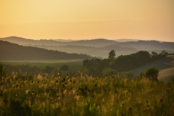 Scenic Drives