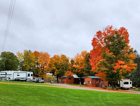 Fall Leaf Peeping Photo