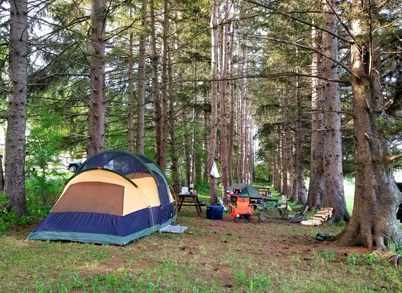 Serene, treed spots for your tent