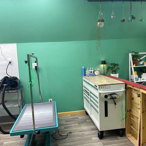Grooming Table