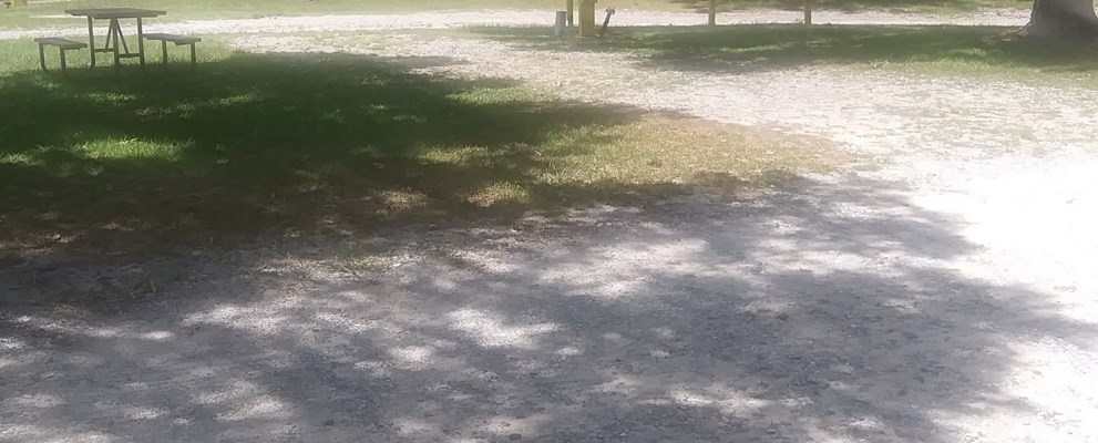 site 46