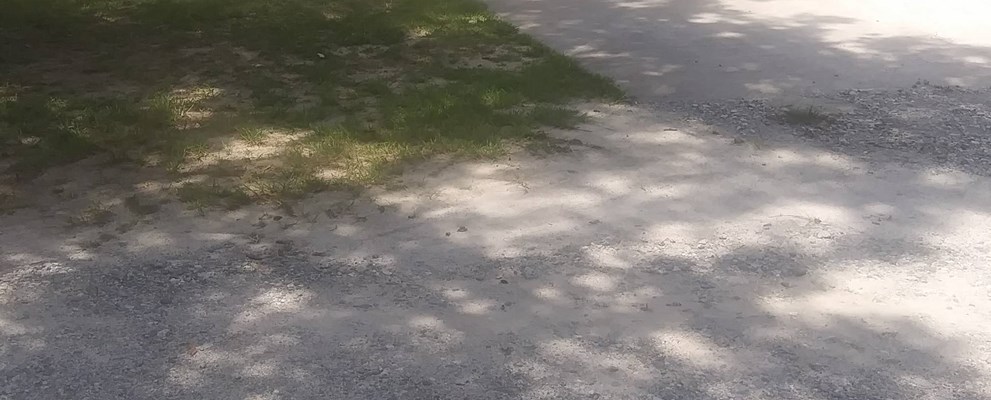site 24