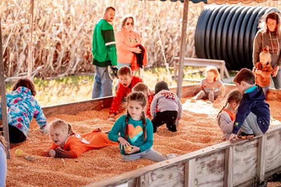 Corn Box - Fall Season