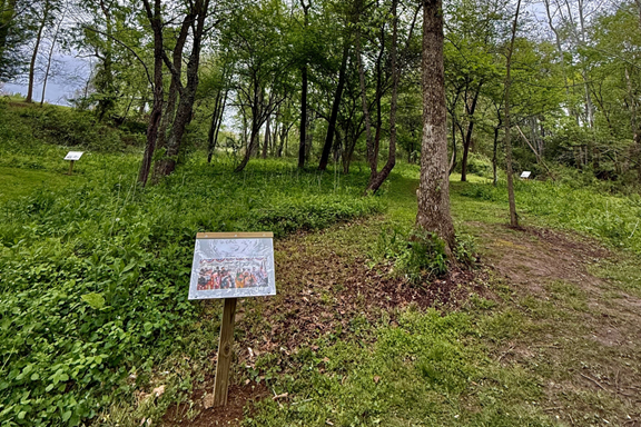 StoryWalk® Trail in the Woods
