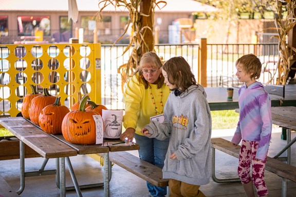 Pumpkin Carving - Fall Season