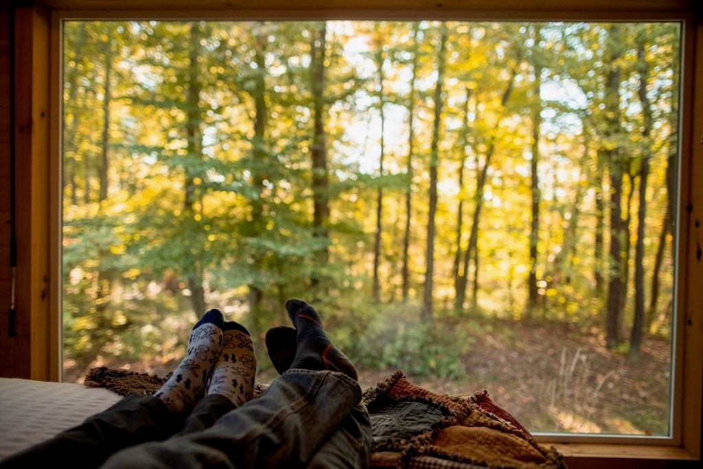 Unique Cabin Touch: Floor-to-Ceiling Picture Window