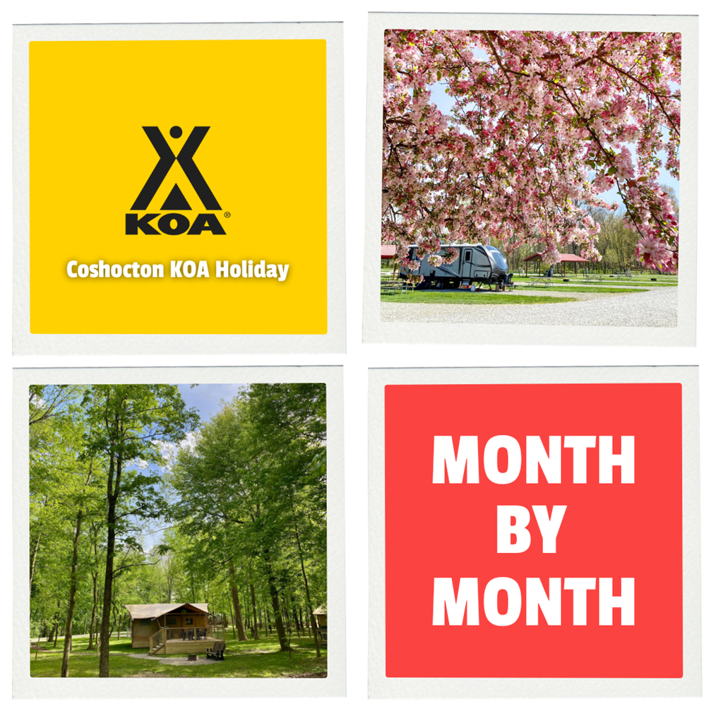 A Month-by-Month Guide to Camping Fun