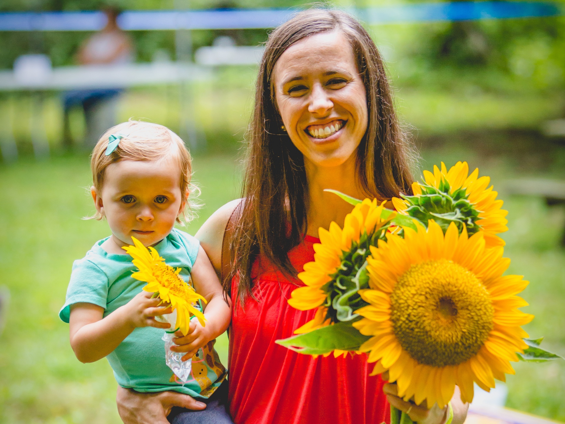 Coshocton Sunflower Festival at Coshocton KOA Photo