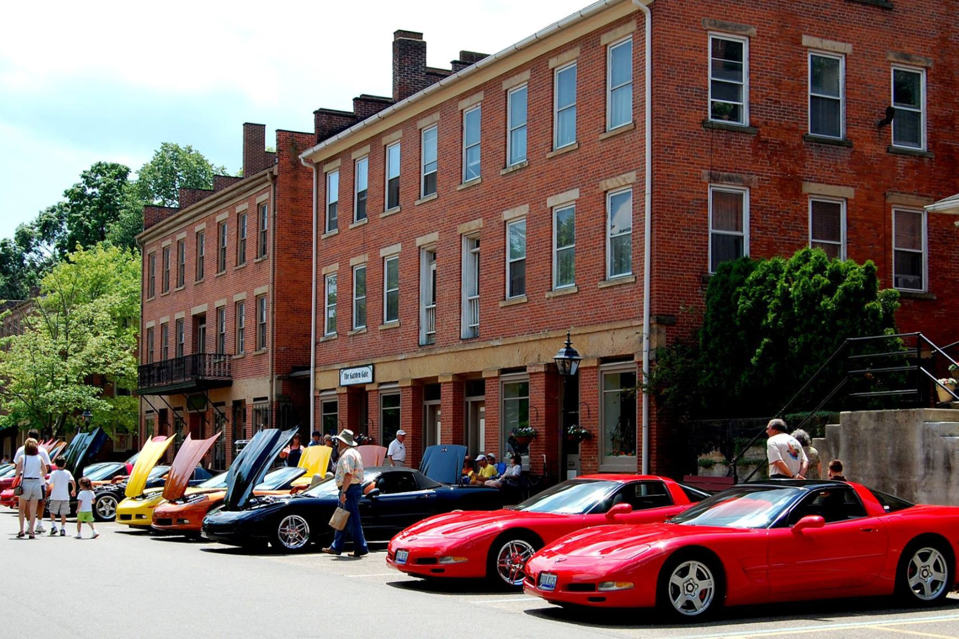 Corvettes in Roscoe Village Photo
