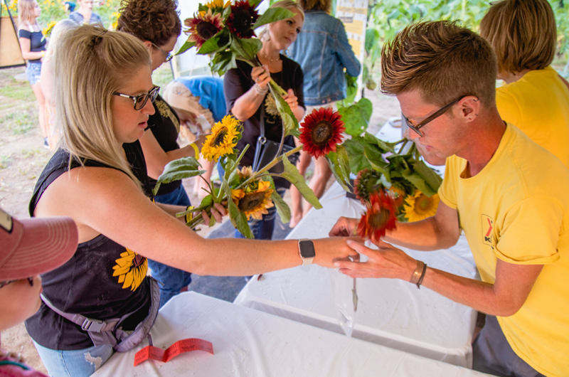 Coshocton Sunflower Festival: Sunflowers & Fairs Photo