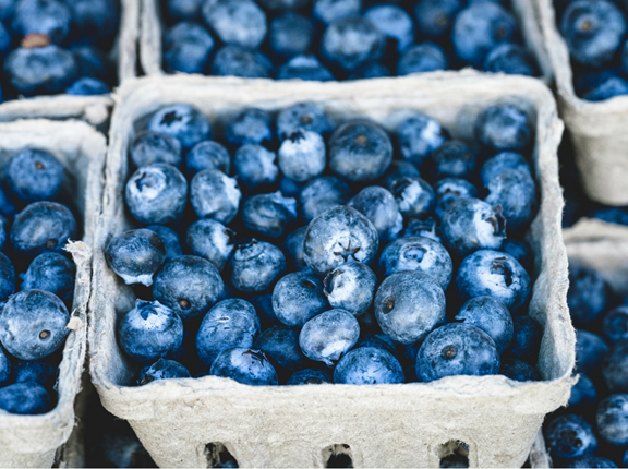 SOUTH HAVEN FARM MARKET