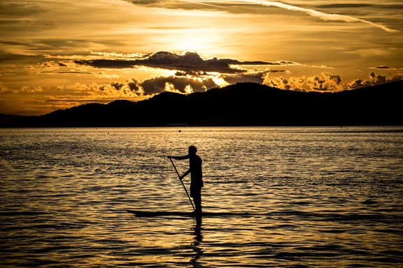 Stand Up Paddle Boarding