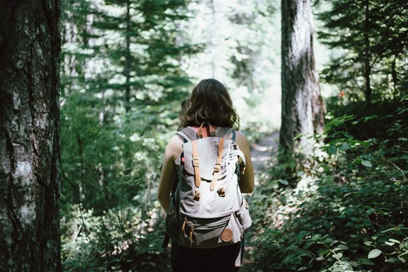 Guided Hikes
