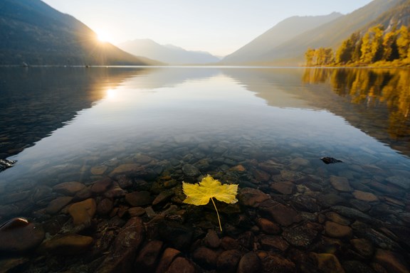 Wasa Lake