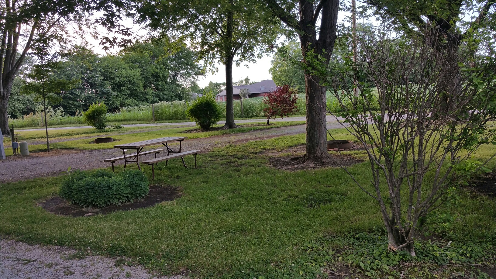 End Site with Large yard