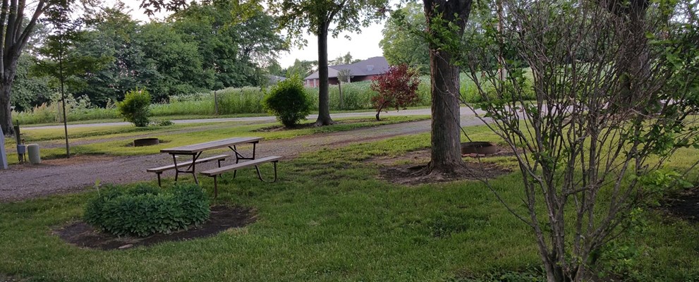 End Site with Large yard