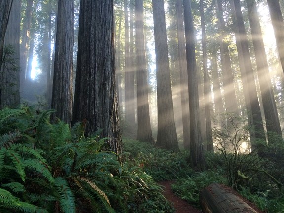 Hiking