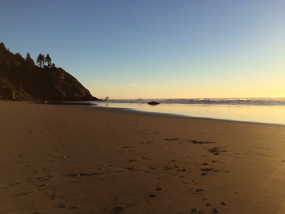 Ocean Beaches