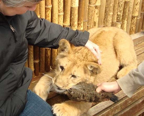 West Coast Game Park (75 miles)