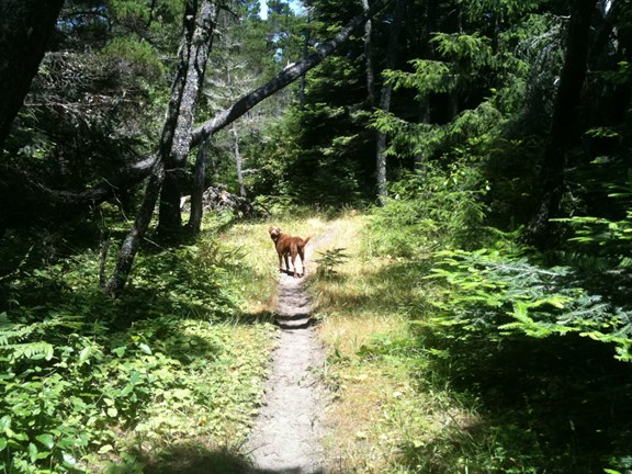 Lake Earl Wildlife Area (5 miles)