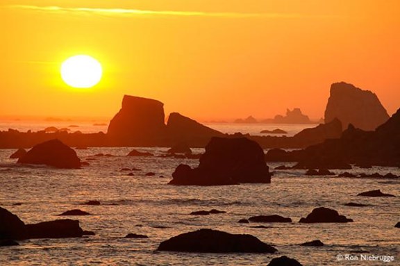 Sunsets and Harbour